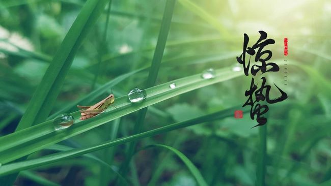 【中醫(yī)護理門診】驚蟄，養(yǎng)生保健正當時(圖1)
