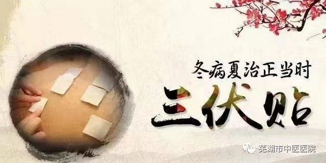 蕪湖市中醫(yī)醫(yī)院三伏貼來(lái)啦！冬病夏治的法寶(圖1)