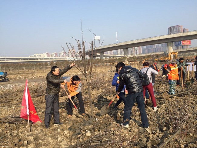 我院職工積極參加 “義務(wù)植樹”公益活動(dòng)(圖1)