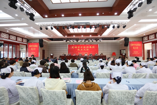 乘十九大春風(fēng) 譜中醫(yī)藥發(fā)展新曲 ——蕪湖市中醫(yī)藥集團成立大會順利舉行(圖1)