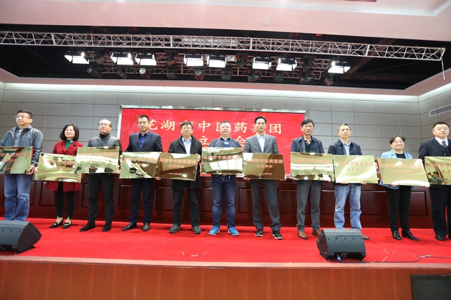 乘十九大春風(fēng) 譜中醫(yī)藥發(fā)展新曲 ——蕪湖市中醫(yī)藥集團成立大會順利舉行(圖8)