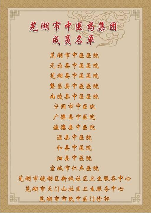 乘十九大春風(fēng) 譜中醫(yī)藥發(fā)展新曲 ——蕪湖市中醫(yī)藥集團成立大會順利舉行(圖4)