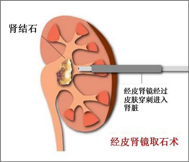 圖片6 (復制).jpg