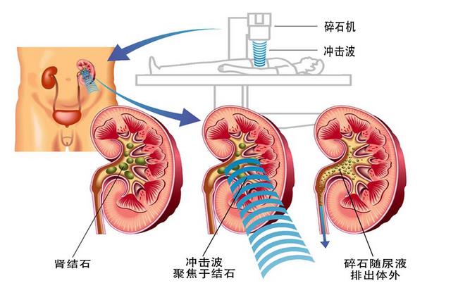 圖片5 (復制).jpg