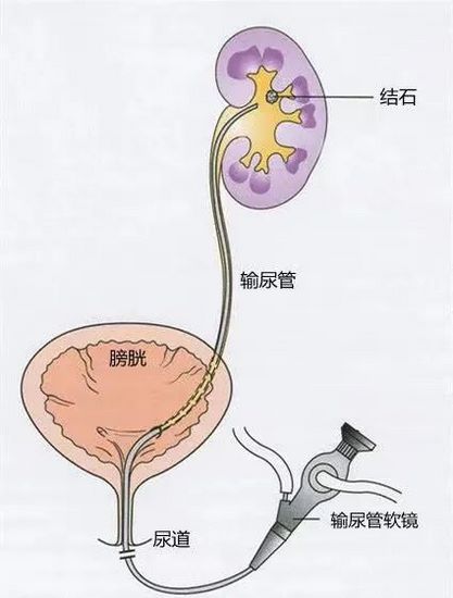 圖片7 (復制).jpg