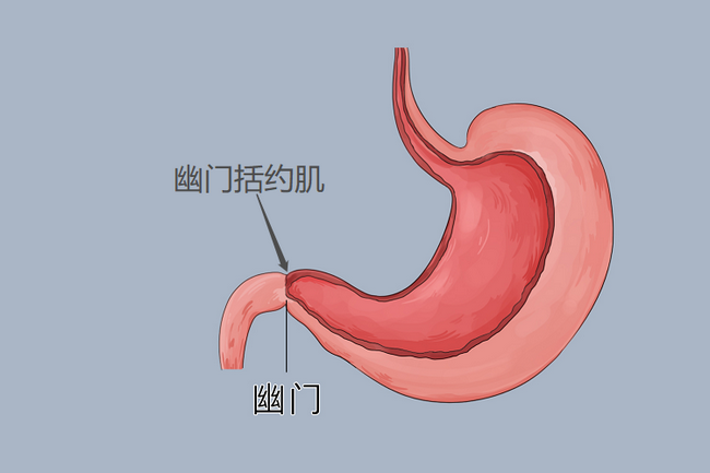 圖片8 (Copy).png