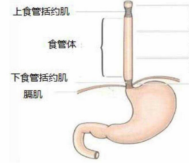 圖片6 (Copy).png