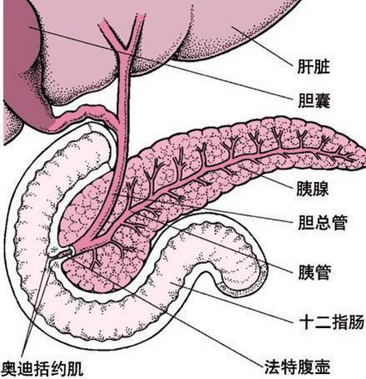圖片11 (Copy).png