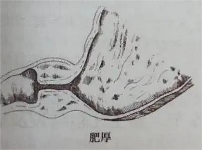圖片9 (Copy).png