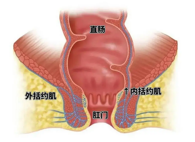 圖片13 (Copy).png