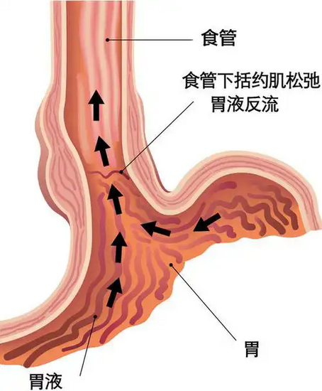 圖片7 (Copy).png